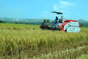 PH unlikely to meet rice self-sufficiency target: Duterte